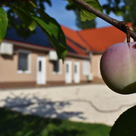 Napfeny Apartman Makó Exterior foto